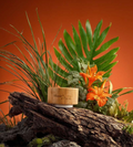 Plant Music Portable Device - Ginkgo