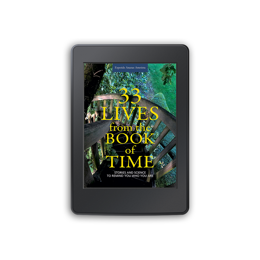 Ebook - 33 Lives from the Book of Time
