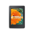 Ebook - La divinità curiosa