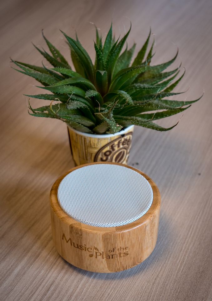 Plant Music Portable Device - Ginkgo