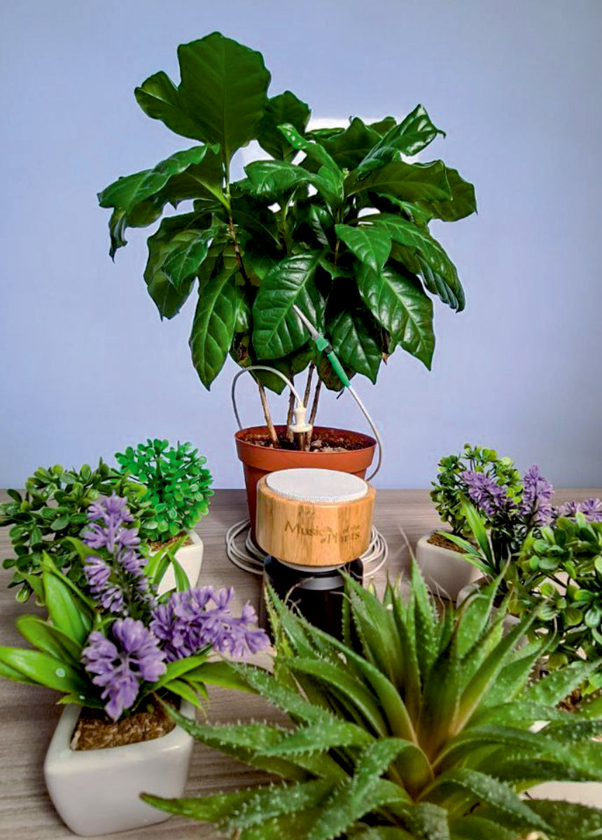 Plant Music Portable Device - Ginkgo