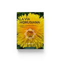La via Horusiana VI