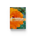 Ebook - La divinità curiosa