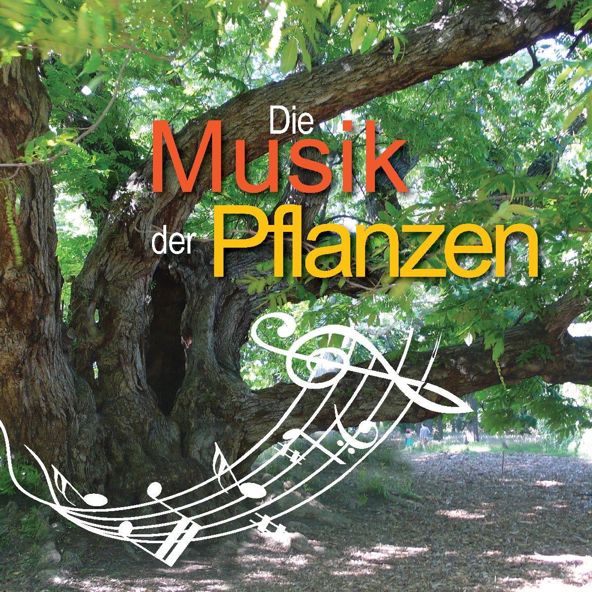 Die Musik der Pflanzen