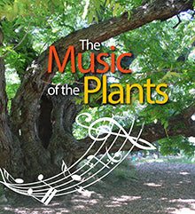 The music of the plants